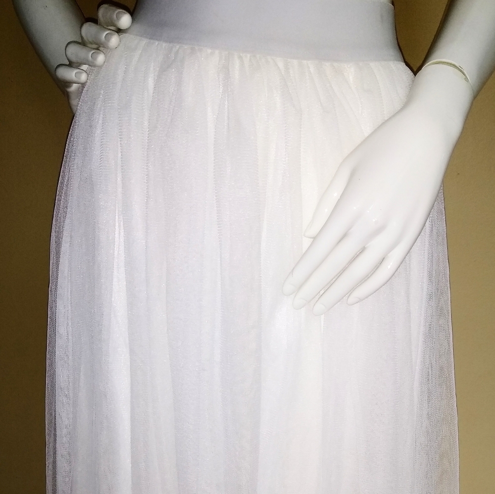 Disorderly Conduct Closet. Skirt